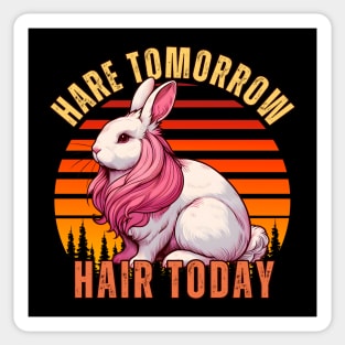 Hair stylist rabbit for barber Sticker